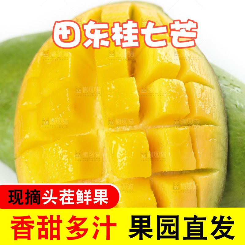 白底上的桂七香芒