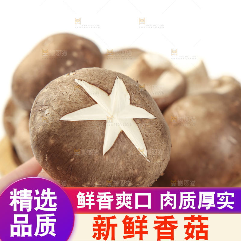 盘子里装着新鲜香菇