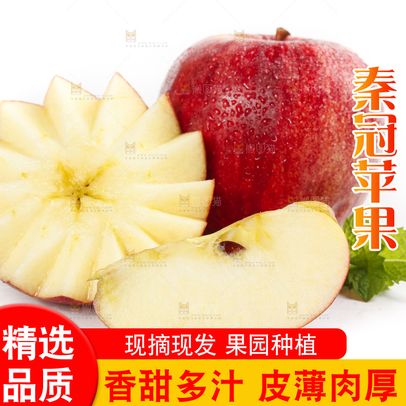 白底上摆放着山西秦冠苹果