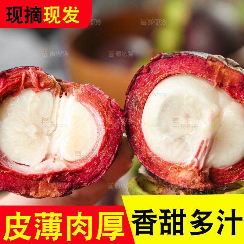 手里拿着山竹果
