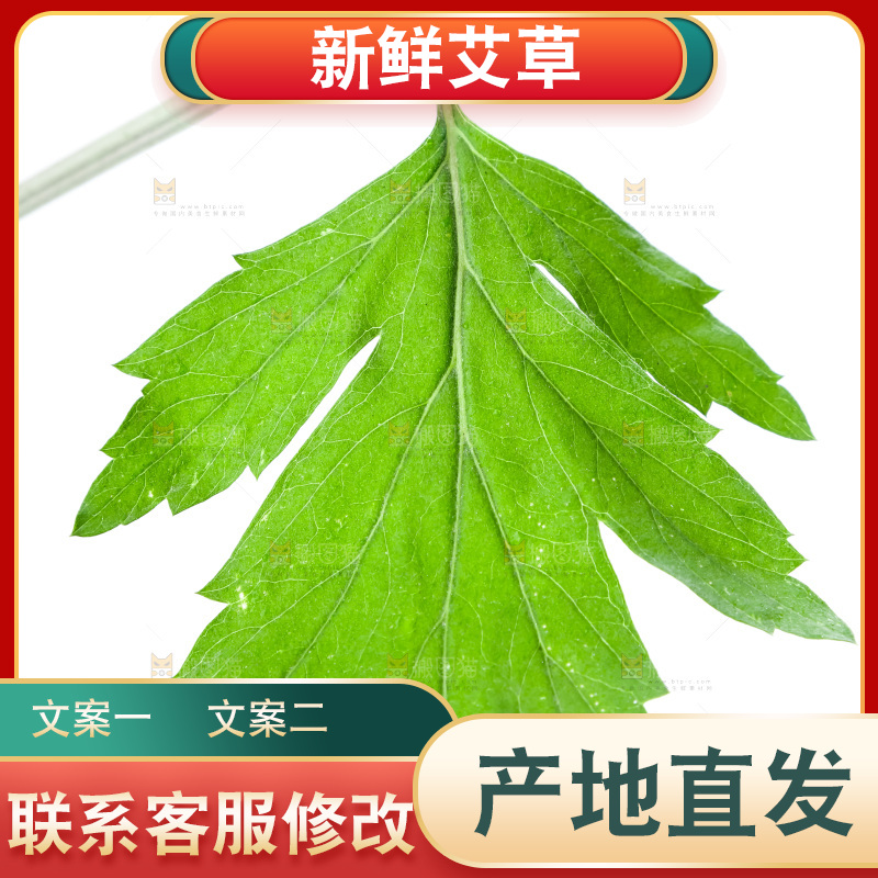 白底上放着艾草叶