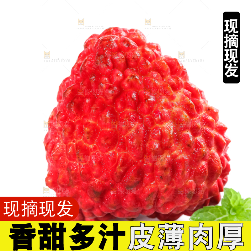 白底上摆放着海南火山荔枝王