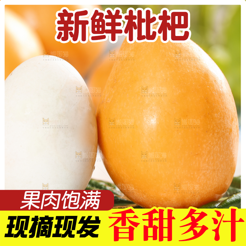 白底上摆放着枇杷