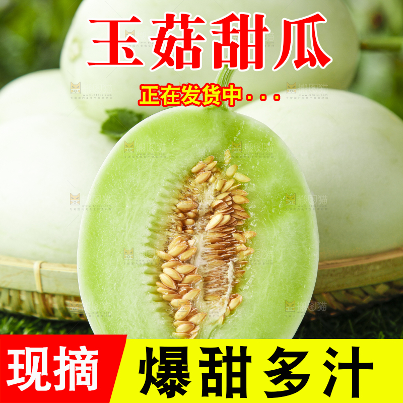 篮子里装着南汇玉菇甜瓜