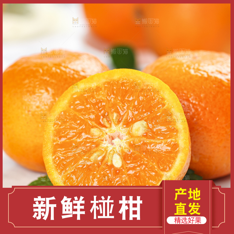 石板上的新鲜芦柑