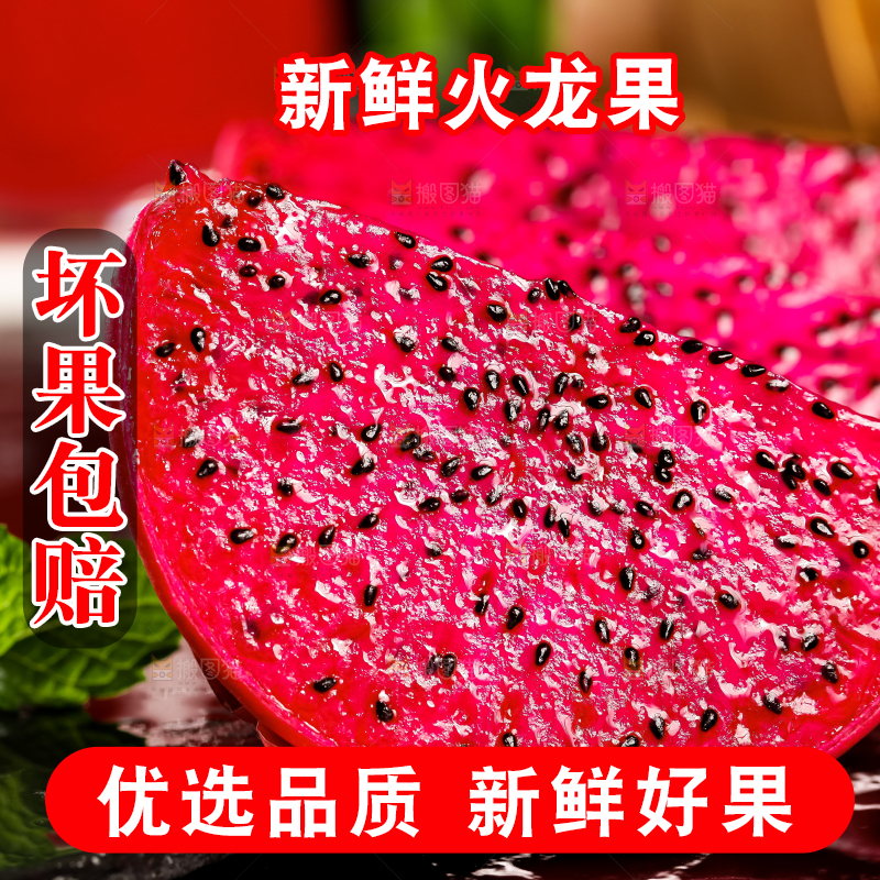 深底上的金都一号红心火龙果