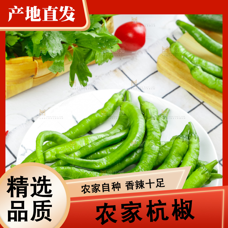 格子底上摆放着杭椒