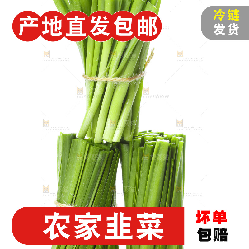 白底上摆放着一把嫩韭菜