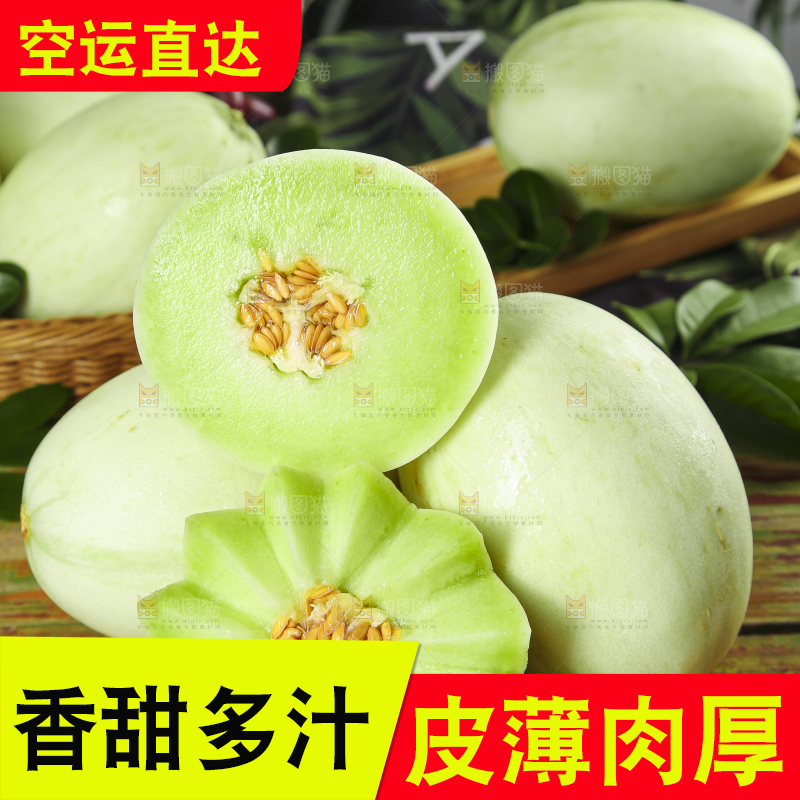 木底上摆放着南汇玉菇甜瓜