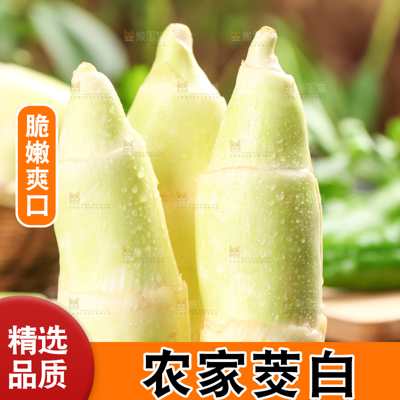 石板上的云南茭白