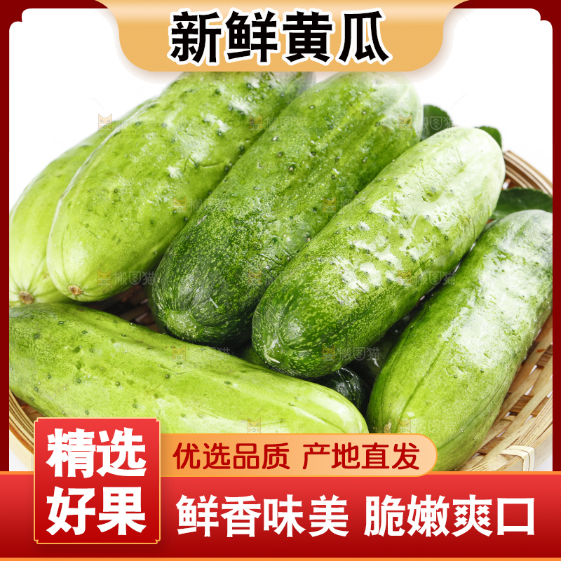 篮子里装着蔬菜黄瓜