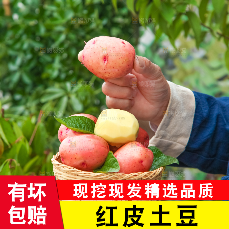 手里拿着土豆