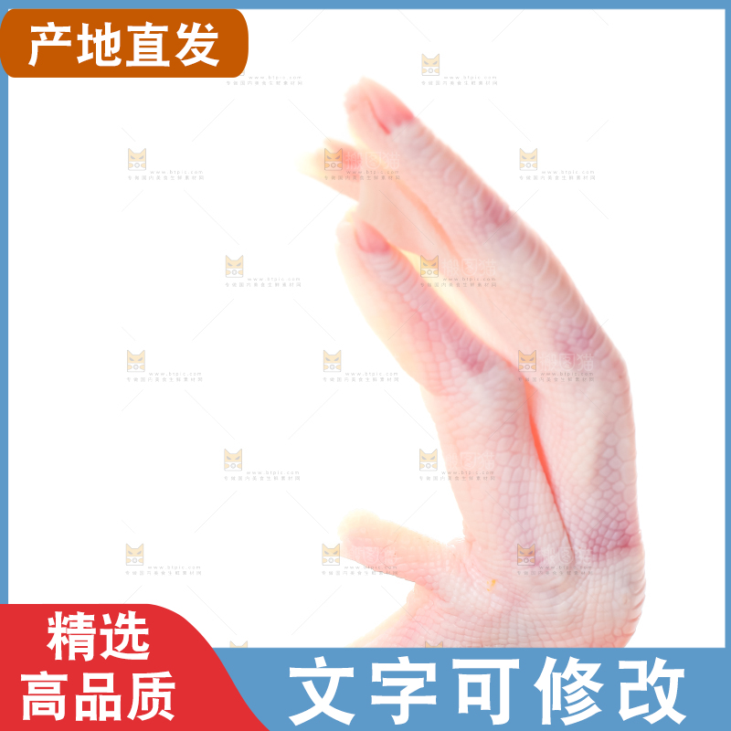 白底上的生鲜鸭脚