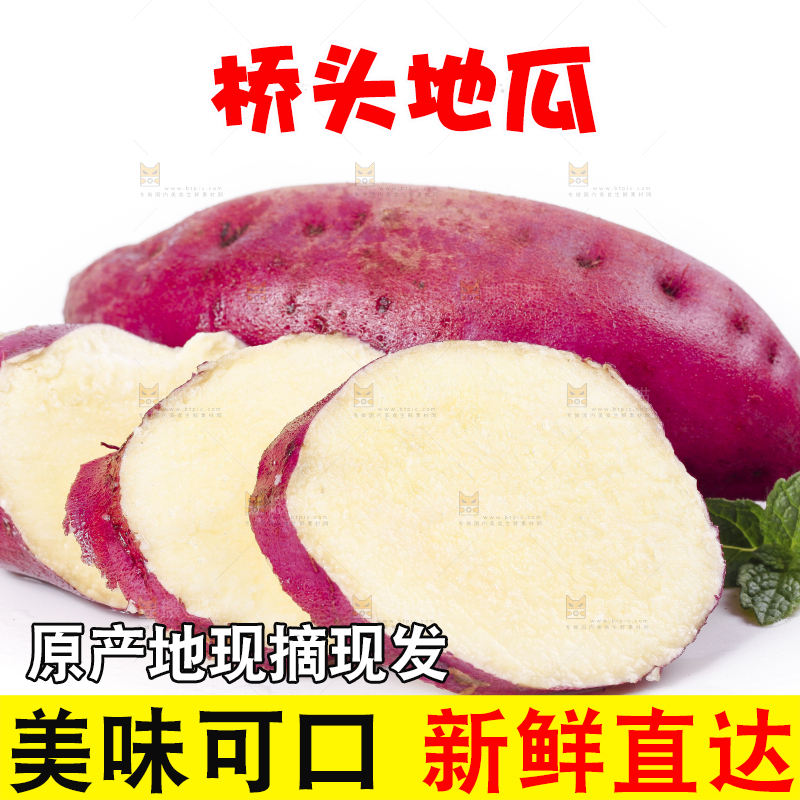 白底上摆放着海南桥头地瓜