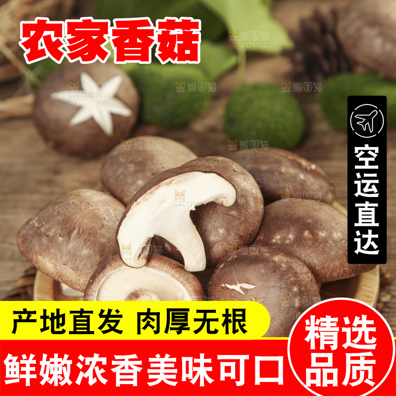 碟子里放着新鲜香菇