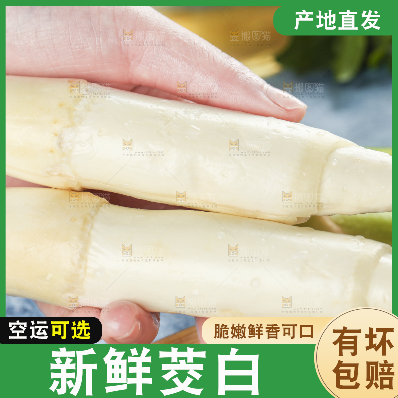 手里拿着农家茭白