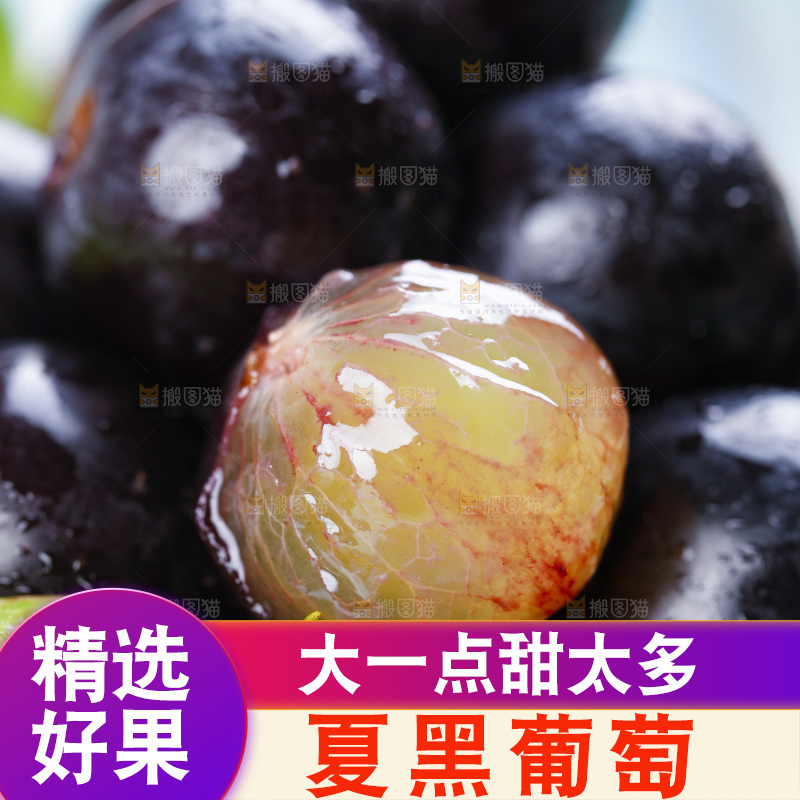 篮子里放着紫葡萄