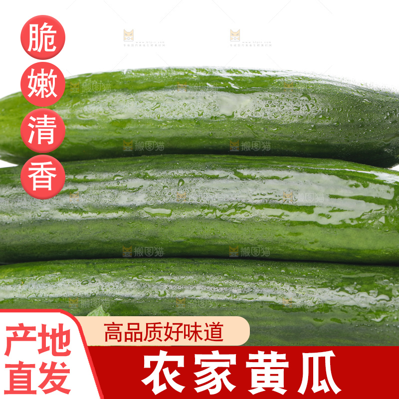 白底上摆放着嫩黄瓜
