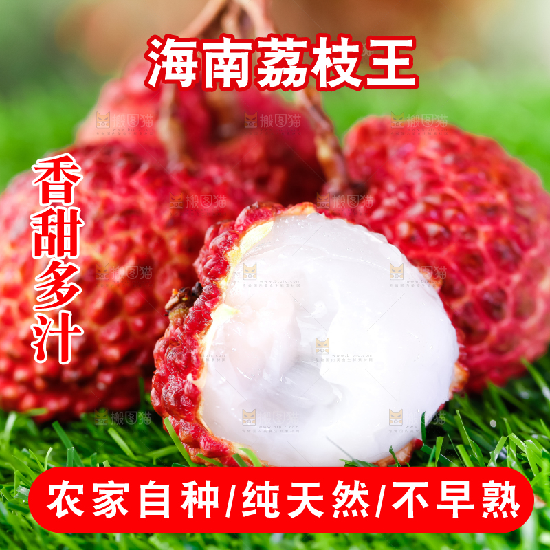 草地上摆放着火山荔枝王