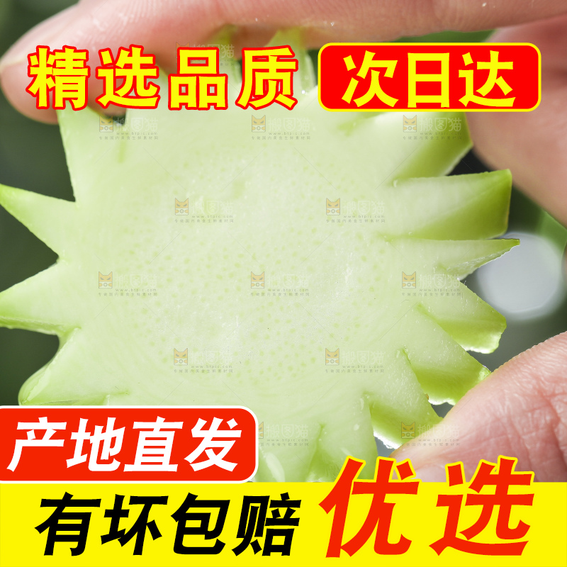 手里拿着嫩茭瓜
