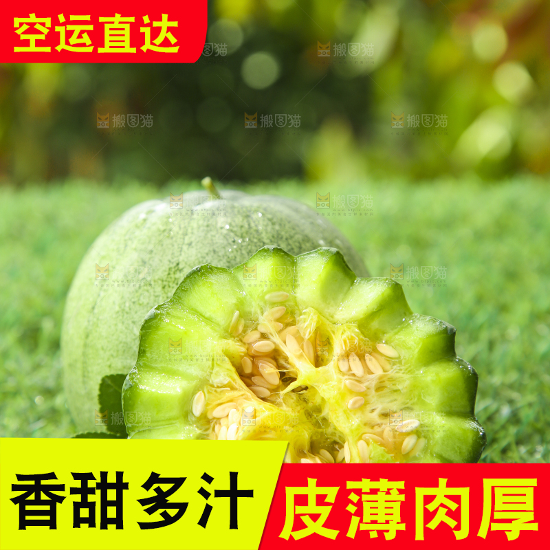 草地上放着绿皮甜瓜
