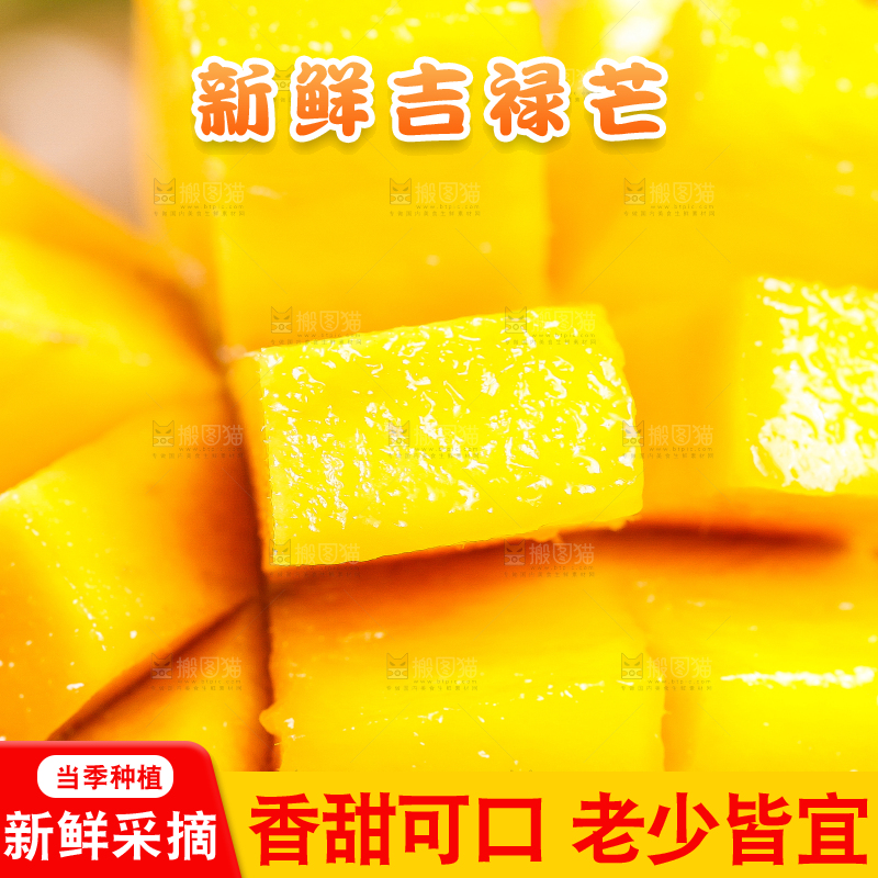 石板上的四川吉禄芒