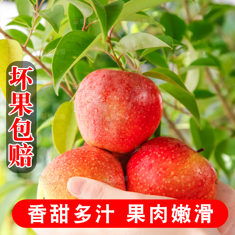 手里捧着嘎啦苹果
