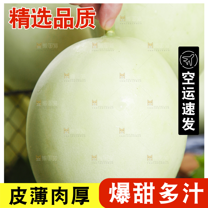 手里拿着南汇玉菇甜瓜