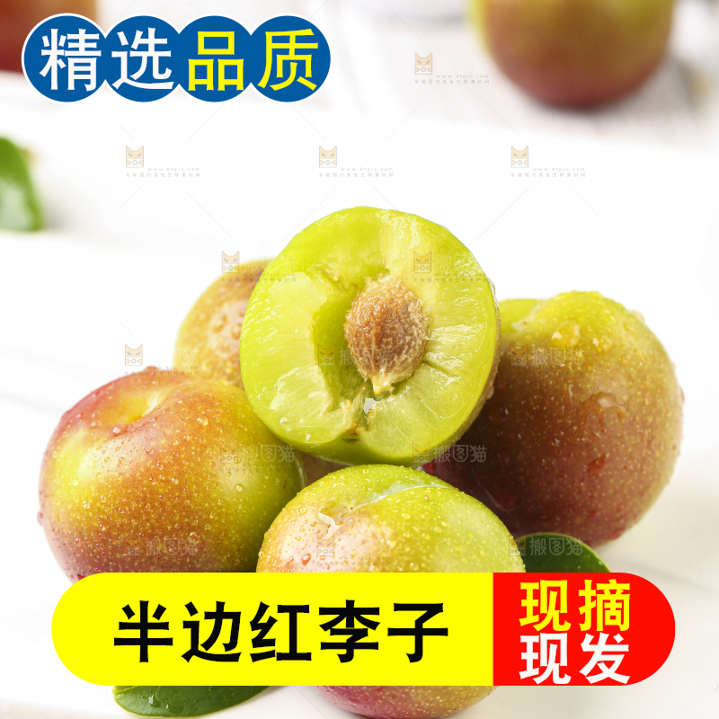 石板上摆放着四川茵红脱骨李