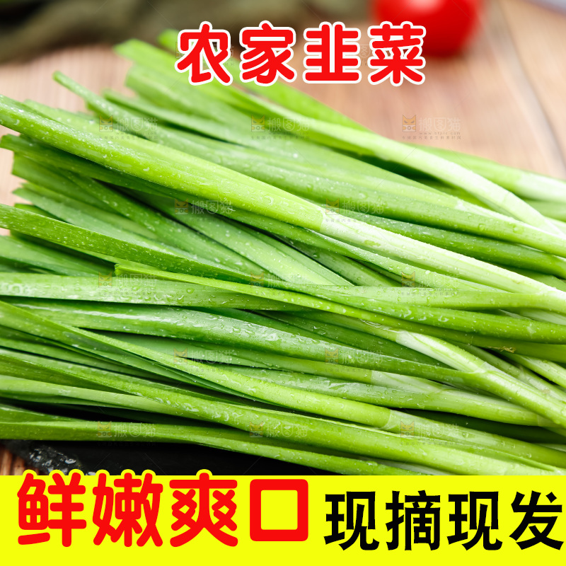 黑底上摆放着农家韭菜