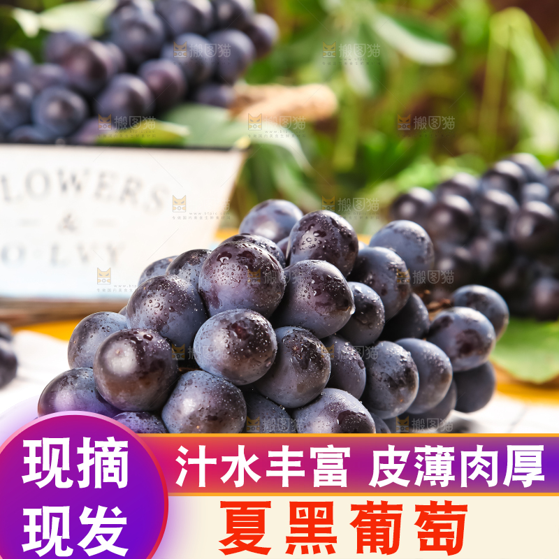 白格子底上放着夏黑葡萄