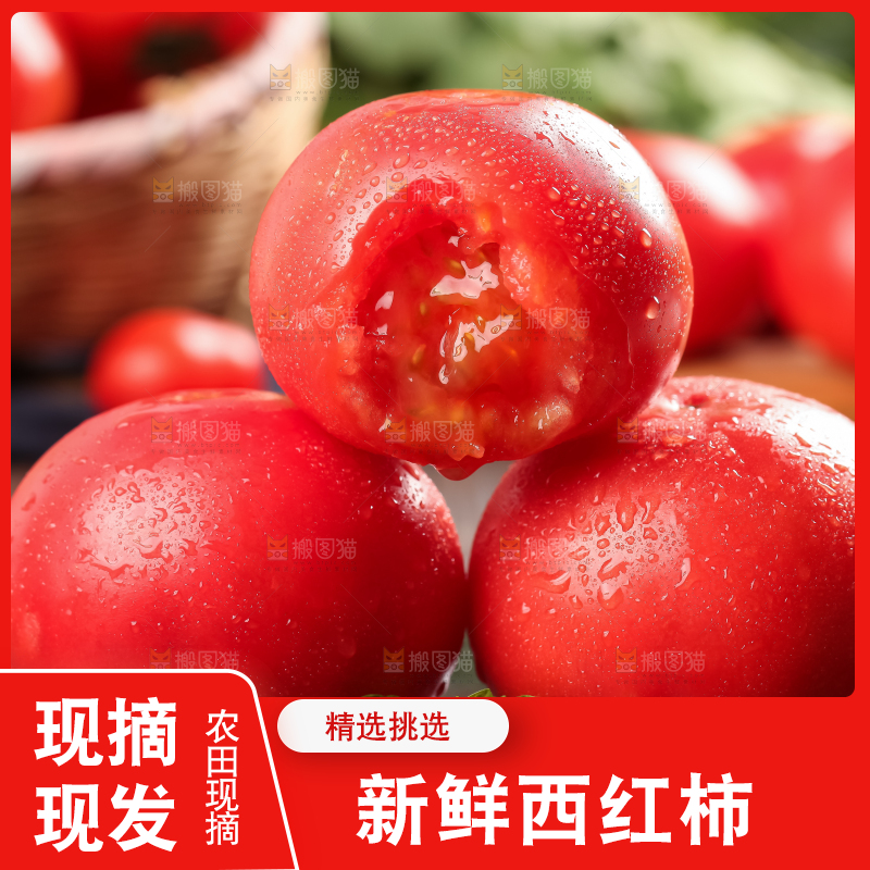 深底上的大番茄