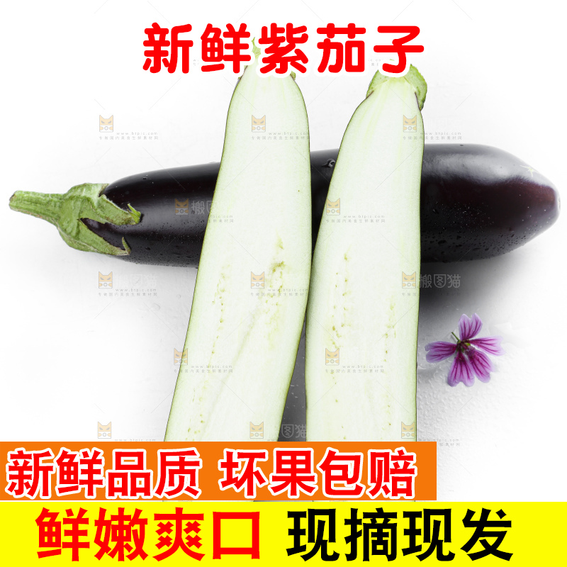 白底上摆放着紫茄子