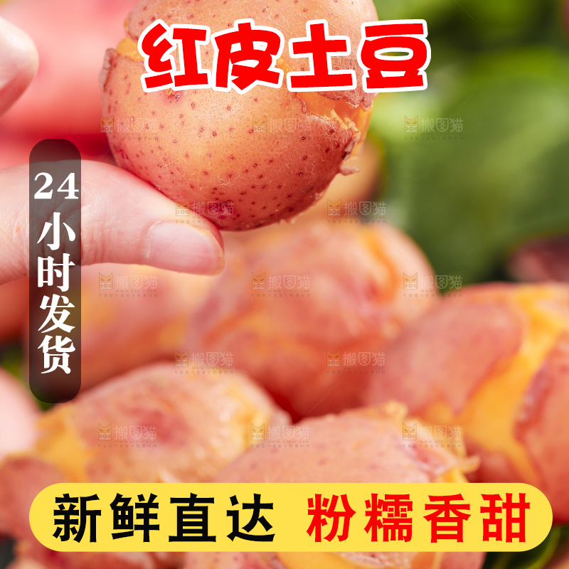 手里拿着红皮黄心土豆