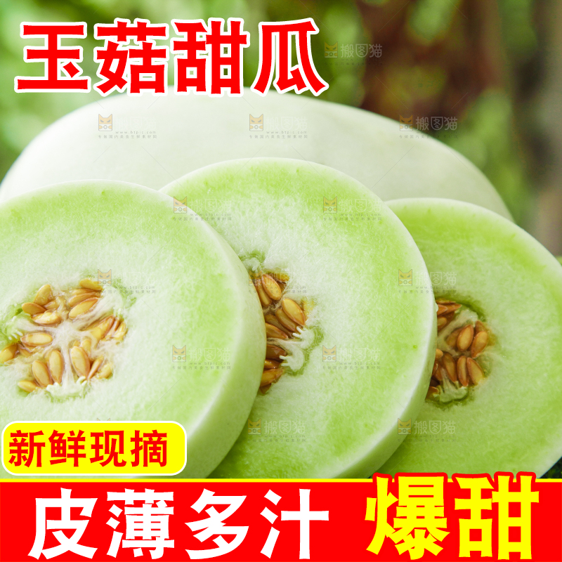 绿草地上摆放着玉菇甜瓜