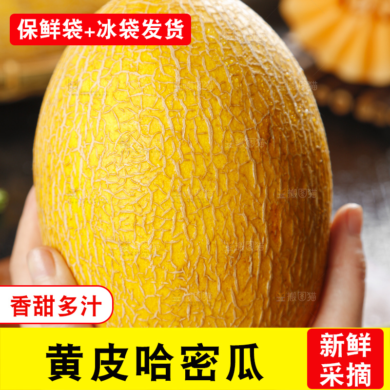 手里拿着黄皮哈密瓜