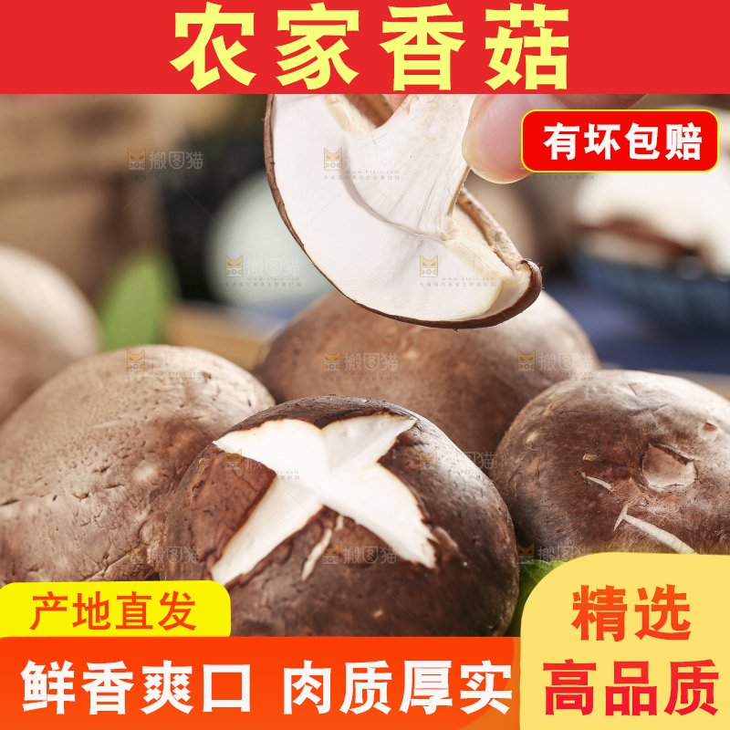 手里拿着菌菇