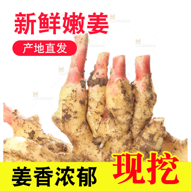 白底上的红芽嫩姜
