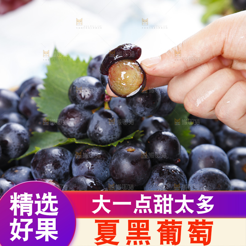 手里拿着黑加仑葡萄