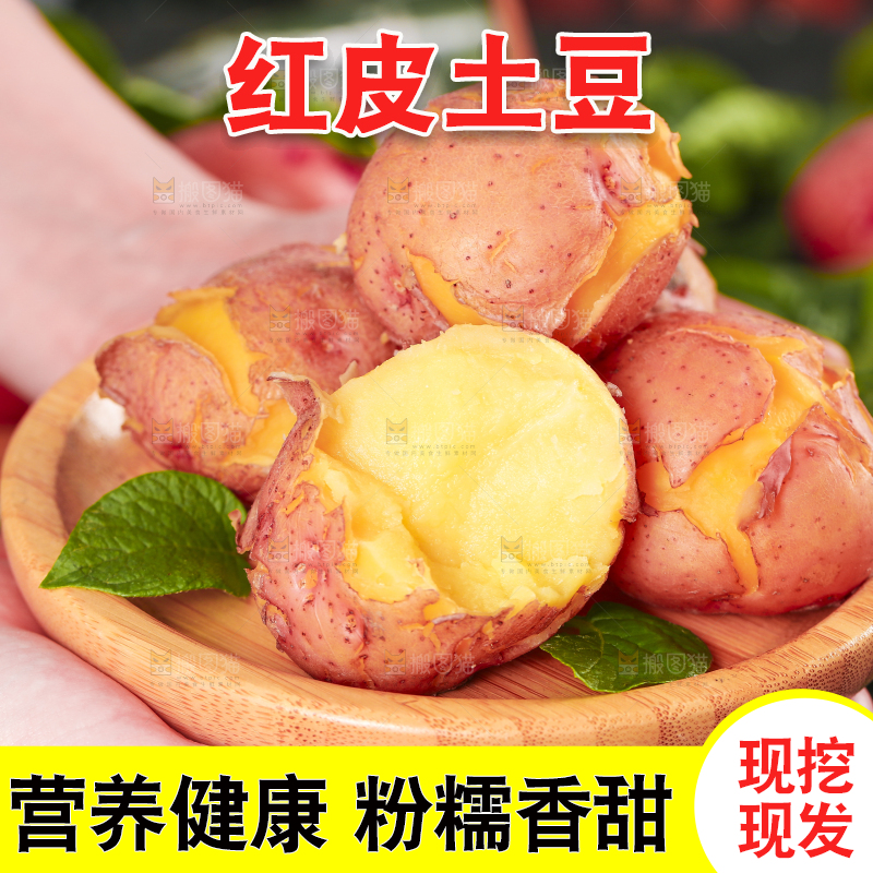 手里拿着红皮黄心土豆