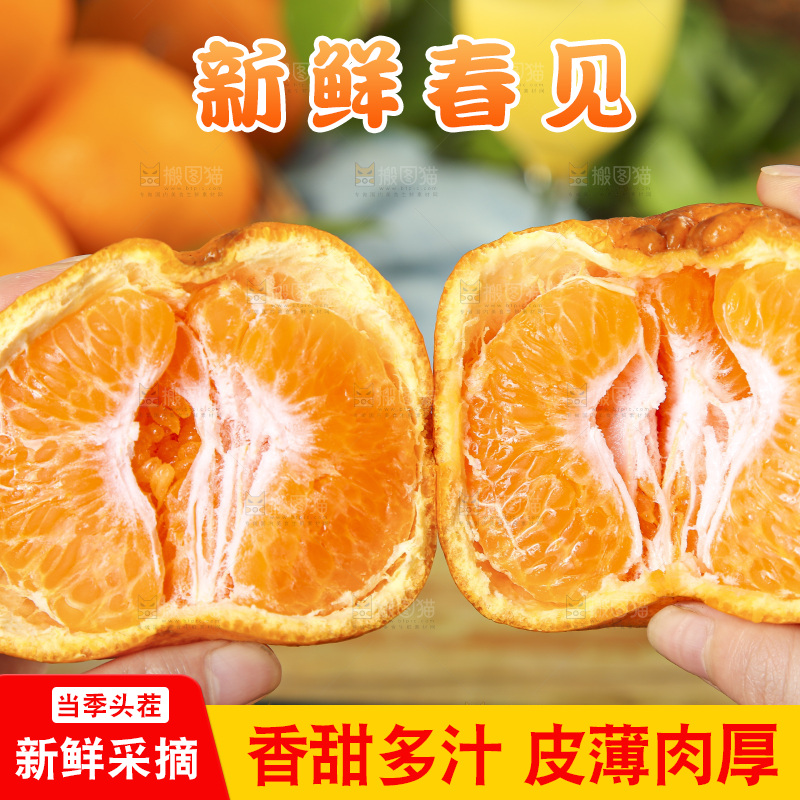 手里拿着四川耙耙柑