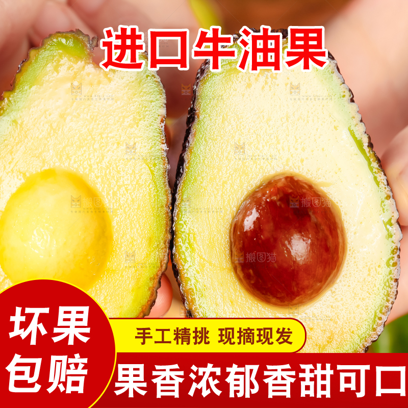 浅底上的巨无霸牛油果