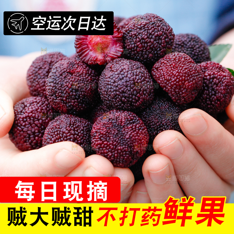 手里捧着杨梅