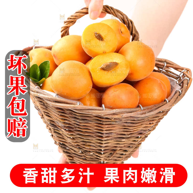 篮子里装着杏子