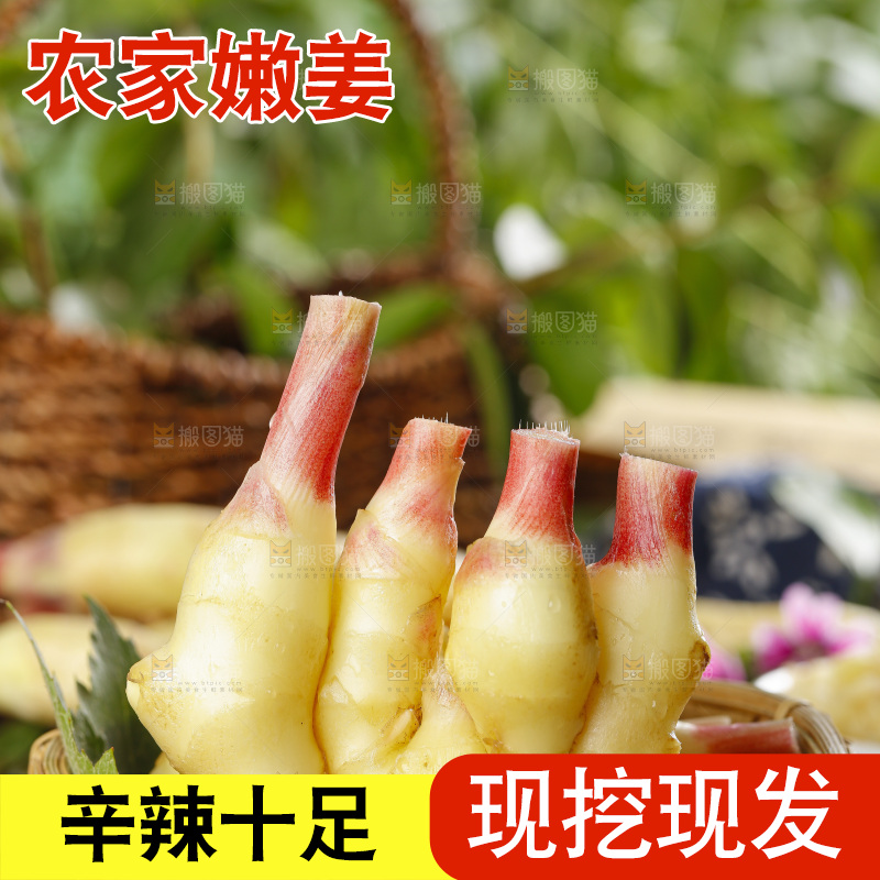 木板上的红芽嫩仔姜