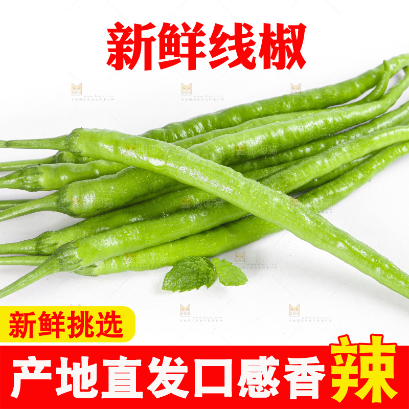 白底上的青线椒