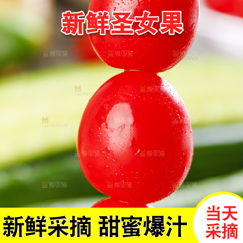 整齐摆放着的小番茄