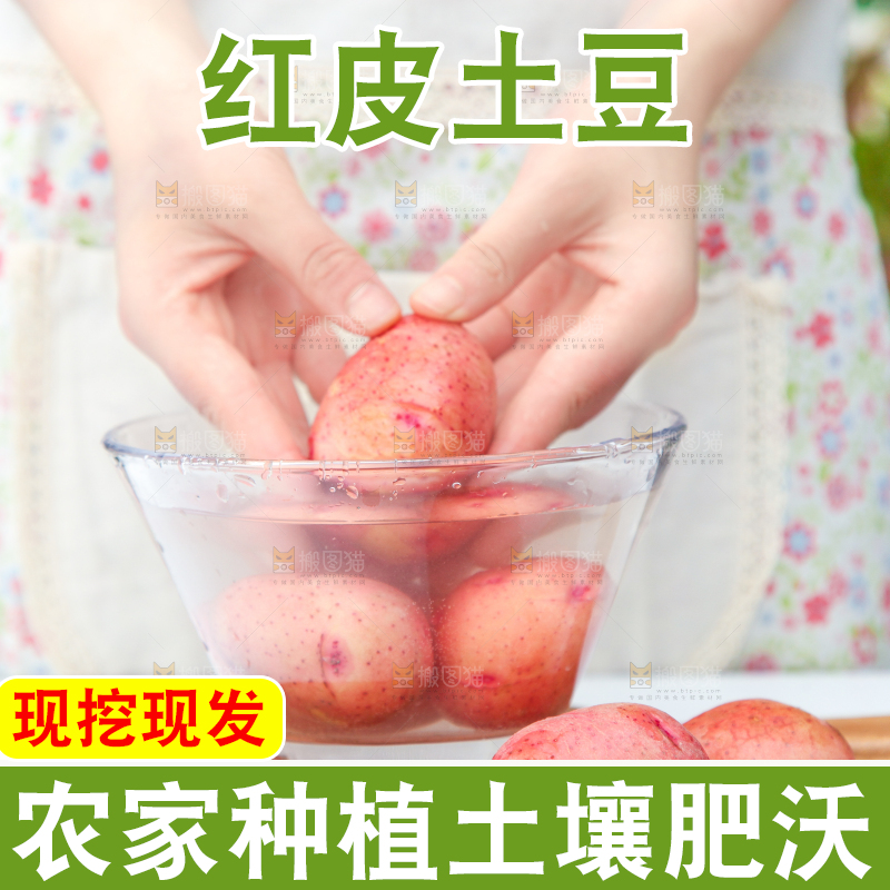手里正在清洗的红皮土豆