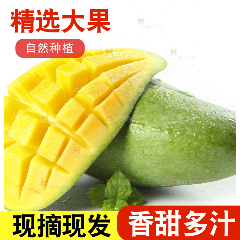 白底上放着青皮桂七芒