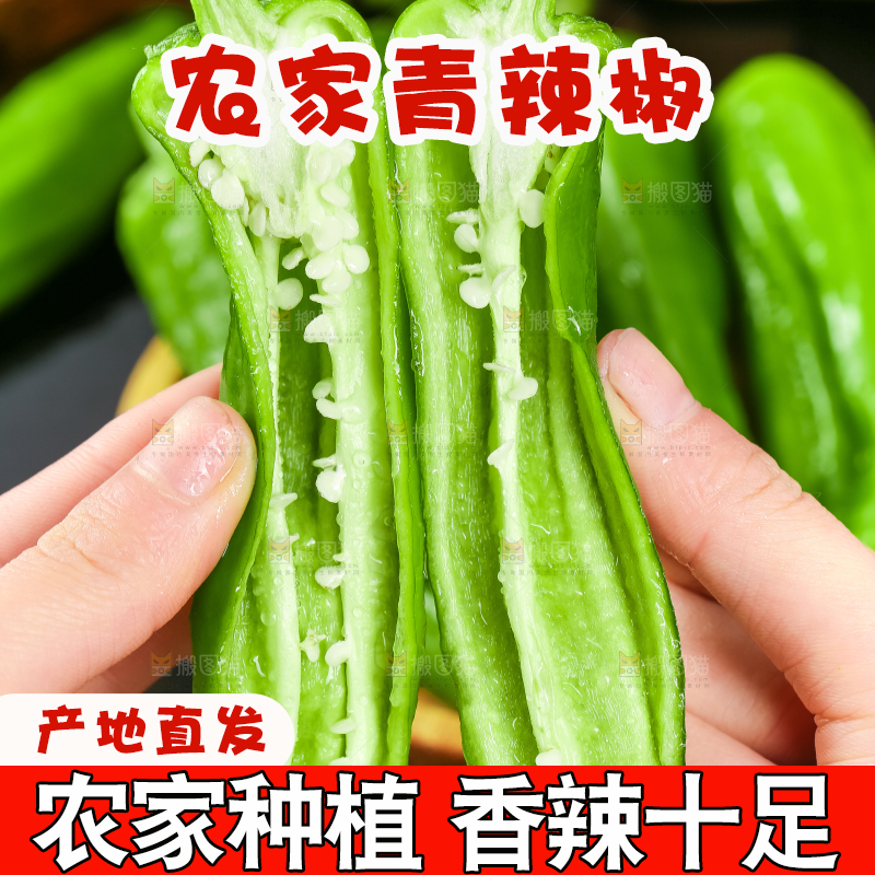 手里拿着新鲜土辣椒